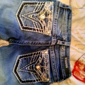 Vigoss Size 25 Dallas Skinny Jeans